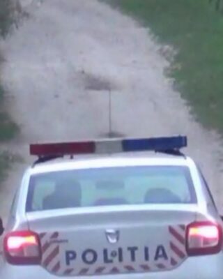 O viperă a murit după ce a mușcat un bărbat beat criță. Victima a încercat apoi să salveze șarpele