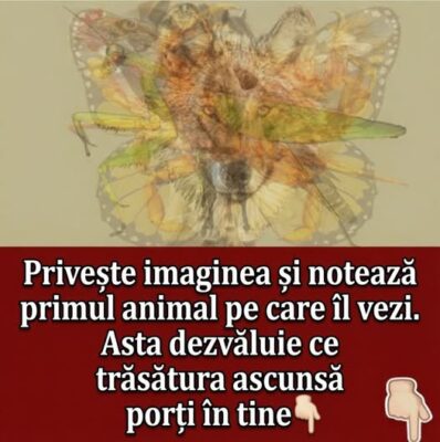 Primul animal pe care il recunosti in aceasta imagine iti va spune tot ce trebuie sa stii despre personalitatea ta