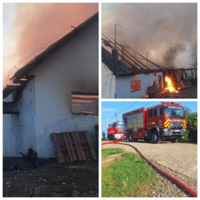 PAGUBE URIAȘE după un incendiu izbucnit la o crescătorie de găini. Flăcările au cuprins hala și au distrus utilajele. 1.000 de păsări au murit