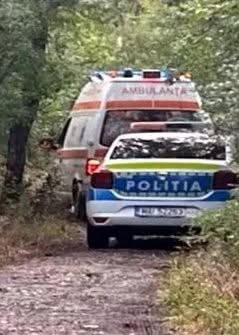 Bărbat din Croația salvat de propria alcoolemie după ce a fost mușcat de o viperă care a murit intoxicată