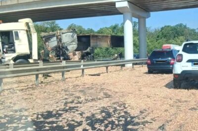 Trafic blocat pe A1 București – Pitești! Un TIR încărcat cu pui a lovit un pod de pe autostradă
