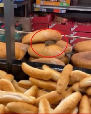 Un rozător a fost surprins pe pâinea dintr-un supermarket. Magazinul a fost închis pentru deratizare