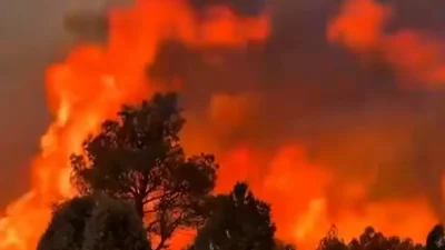 Românii din Spania, avertizați de MAE. Risc ridicat de incendii în regiunea Valencia
