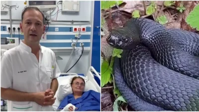 O femeie a ajuns la spital după ce a fost mușcată de un șarpe. În ce stare se află