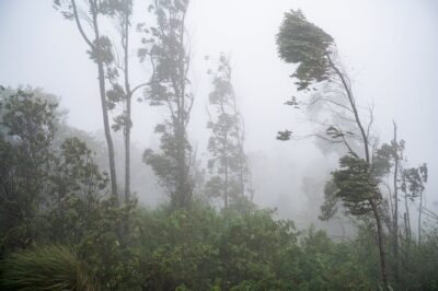 Urmează furtuni și vijelii după codul roșu de caniculă. Când încep fenomenele meteorologice extreme și ce județe vor fi cele mai afectate