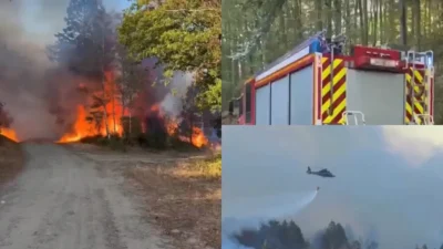 Intervenție de amploare, în urma unui incendiu puternic, în Germania! Aproximativ 1.800 de persoane au fost evacuate