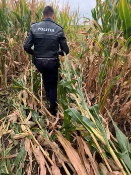 Mamă și fiică, găsite fără viață într-un lan de porumb din Republica Moldova. Un bărbat de 51 de ani a fost arestat preventiv