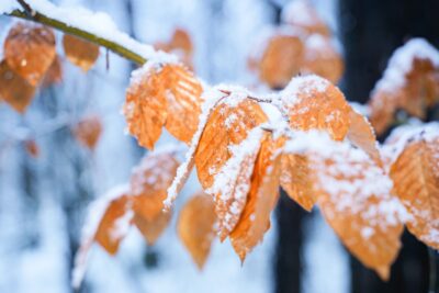 Vremea se schimbă radical în România: De la vortex polar, frig, lapoviță și ninsori, la peste 25 de grade Celsius