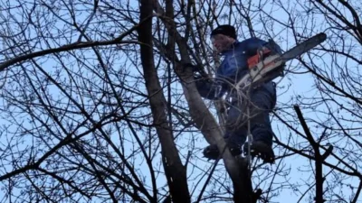 Un inginer silvic a murit în timpul unor lucrări de curățare a copacilor, după ce o creangă a căzut peste el