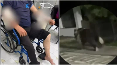 Doi bărbați, sfâșiați de un urs. Unul dintre ei este în stare gravă după ce a pierdut mult sânge