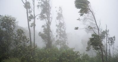 Prognoza meteo ANM pentru miercuri, 28 octombrie 2026. Cod galben de ploi, intensificări ale vântului și ninsori